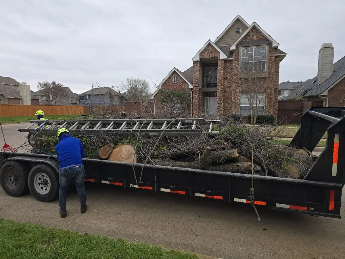 Expert Lot Clearing with proper safety equipment in North Jackson